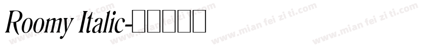 Roomy Italic字体转换